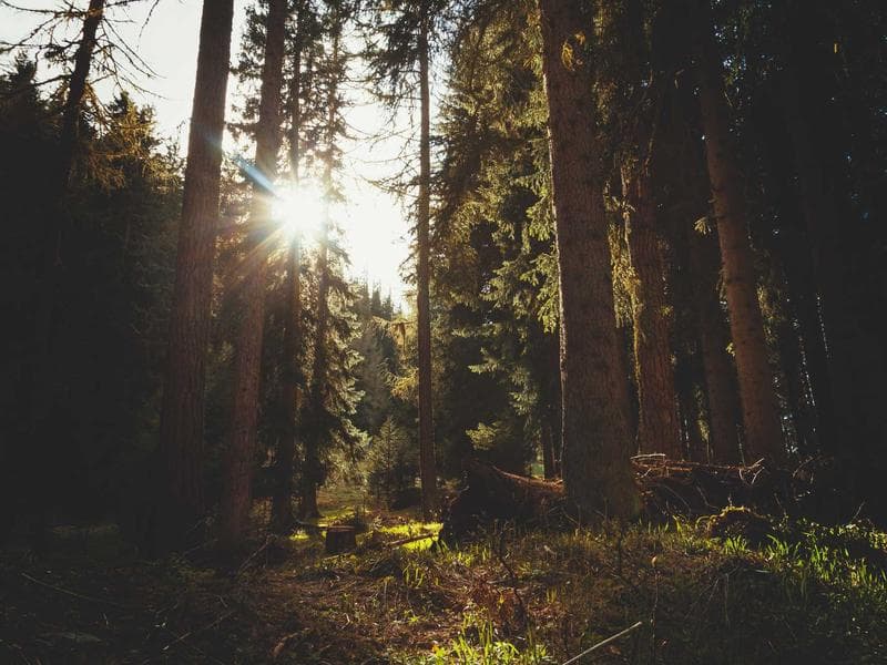 Membranfilter-Skid MFS-12 — Hauptbild